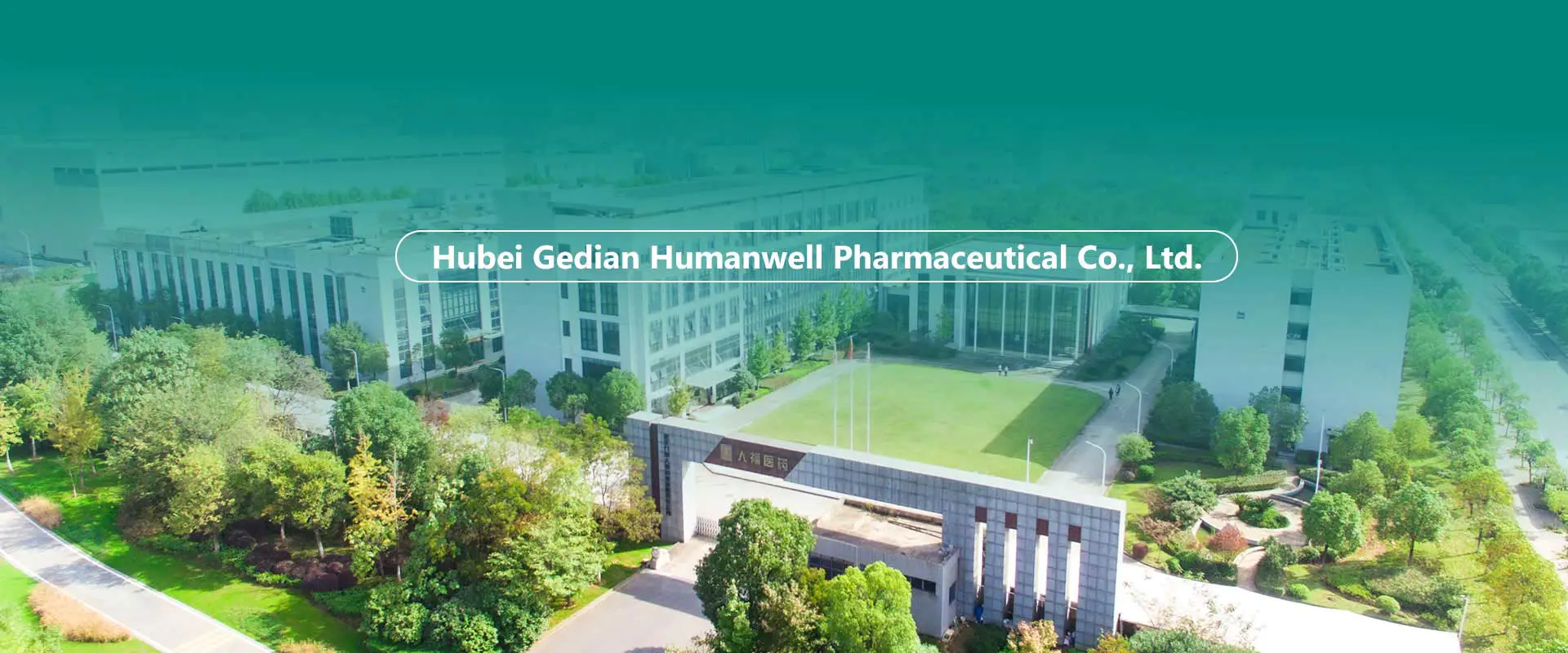 Кинески АПИ-ји, међупроизводи, фабрика формулација